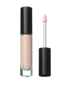 Skin Fetish: Sublime Perfection Concealer