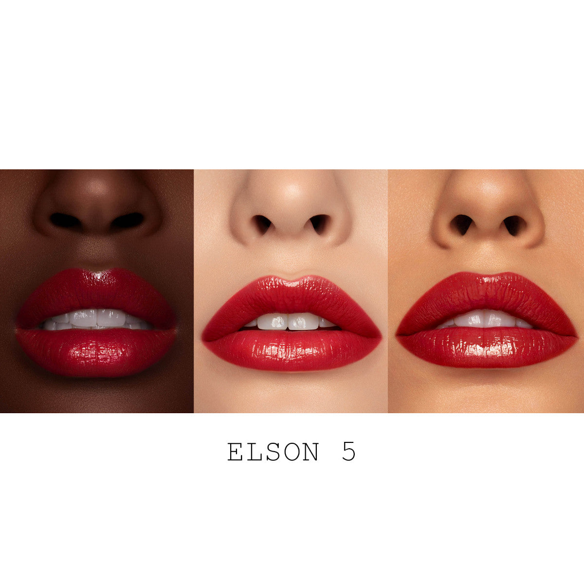 PMG_LIPS_SATINALLURE_MACRO_LABELED_ELSON_5_3.jpg