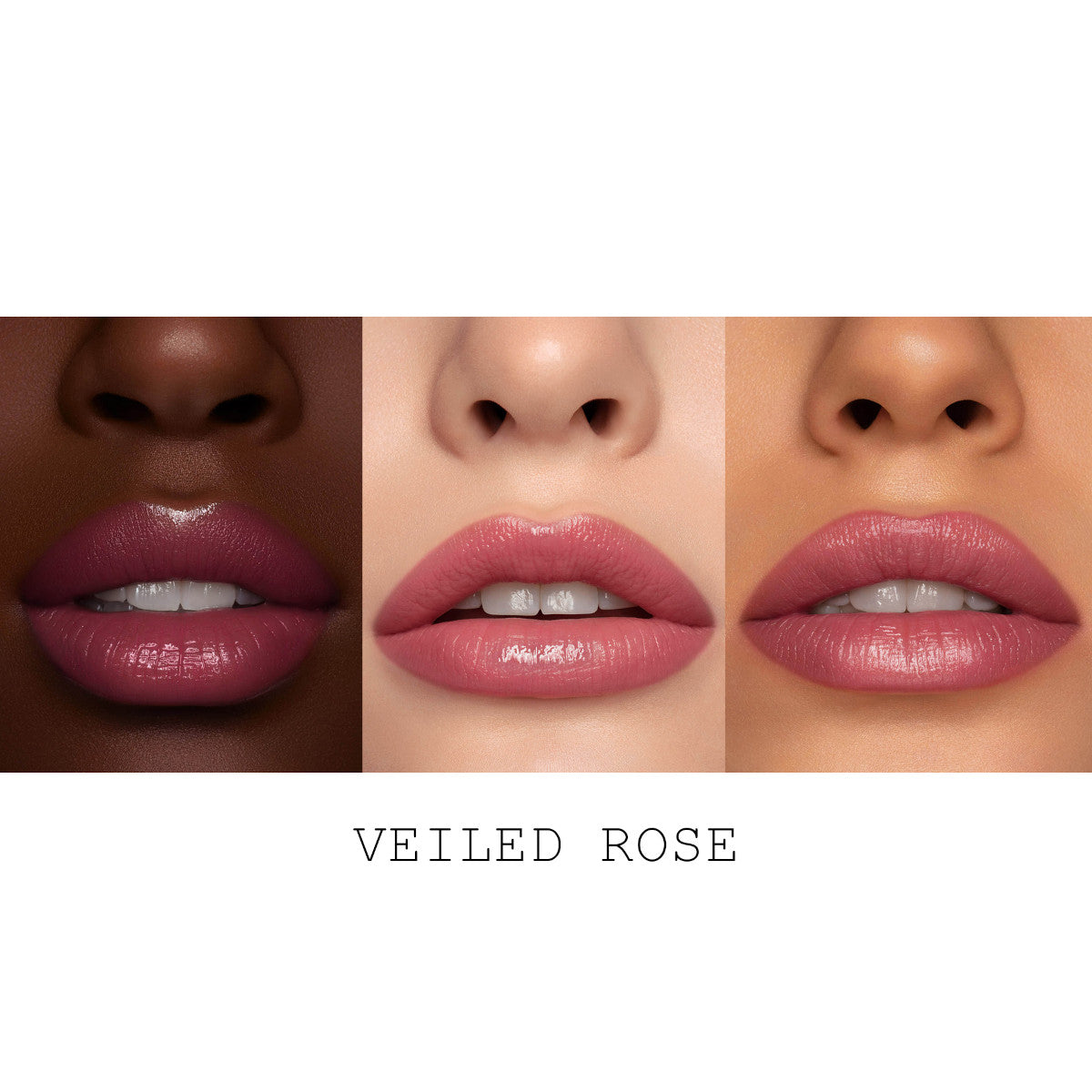 PMG_LIPS_SATINALLURE_MACRO_LABELED_VEILED_ROSE_3.jpg