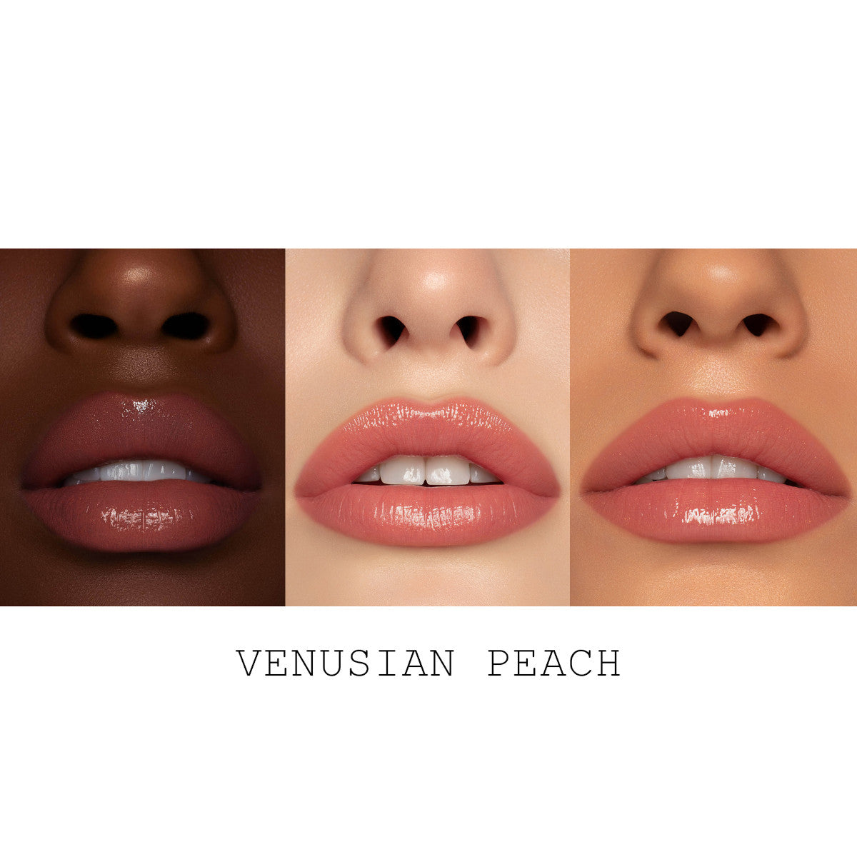 PMG_LIPS_SATINALLURE_MACRO_LABELED_VENUSIAN_PEACH_3.jpg