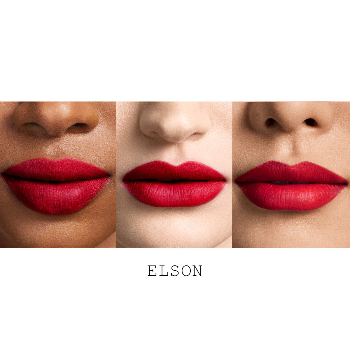 PMG_PDP_LIP_Dramatique_Macro_LABLED_Elson.jpg